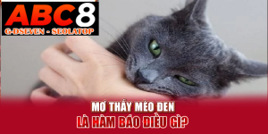 processed 18 mo thay meo den la ham bao dieu gi